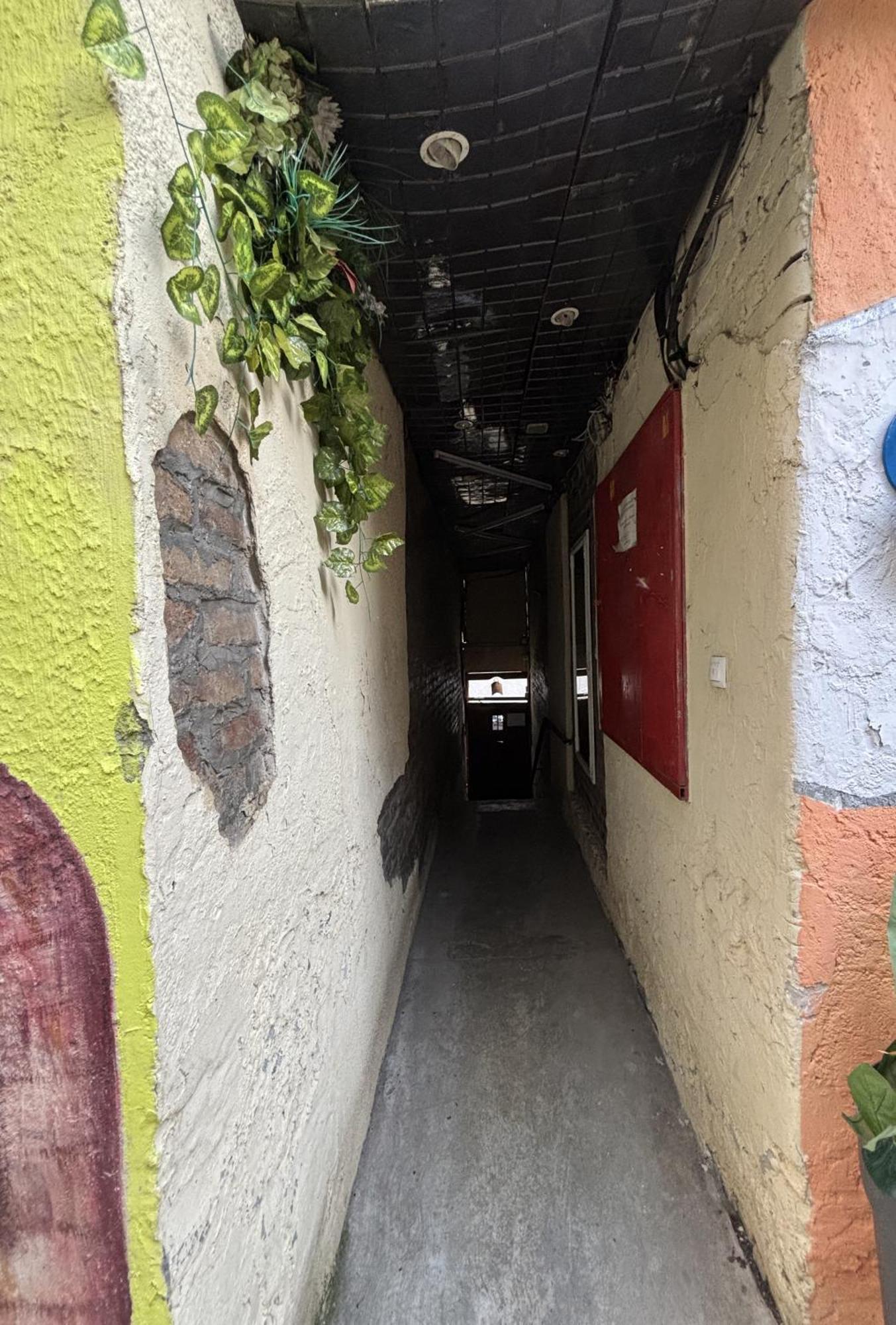 Vracar Affordable Suites - Vracar Povoljni Stanovi Belgrad Exterior foto